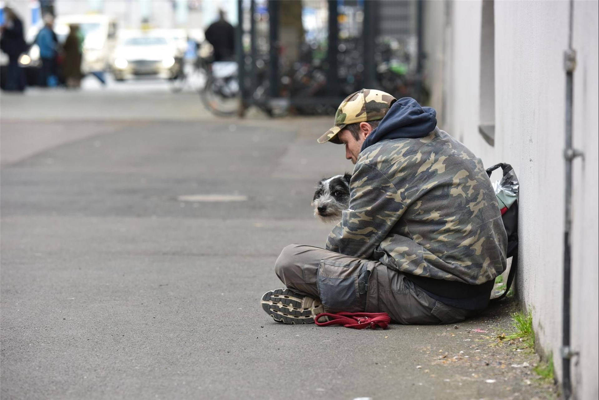 obdachloser Mann von hinten auf der Straße sitzend mit seinem Hund