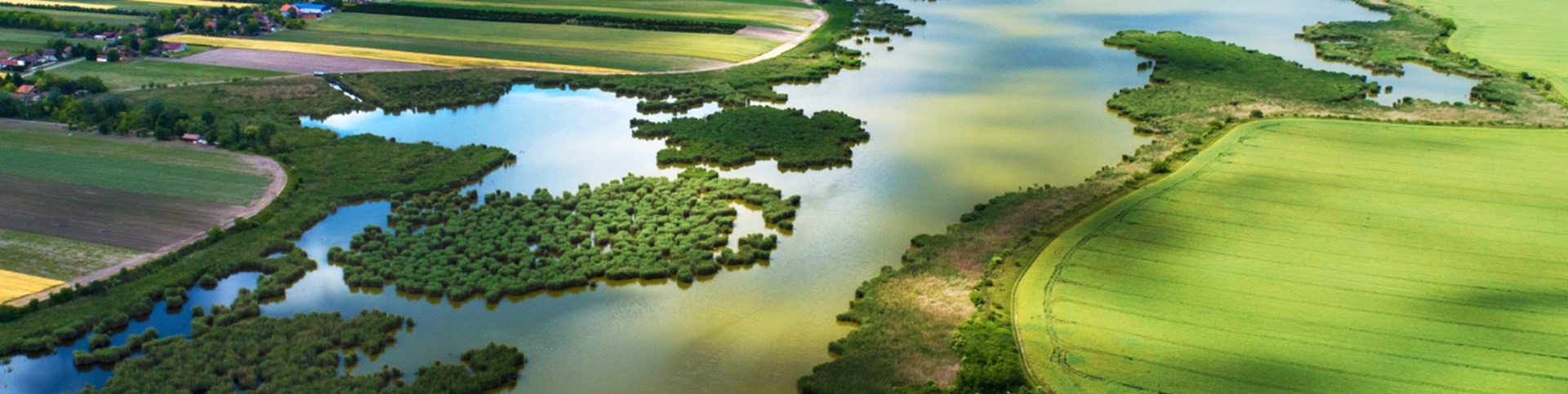 Umwelt Header