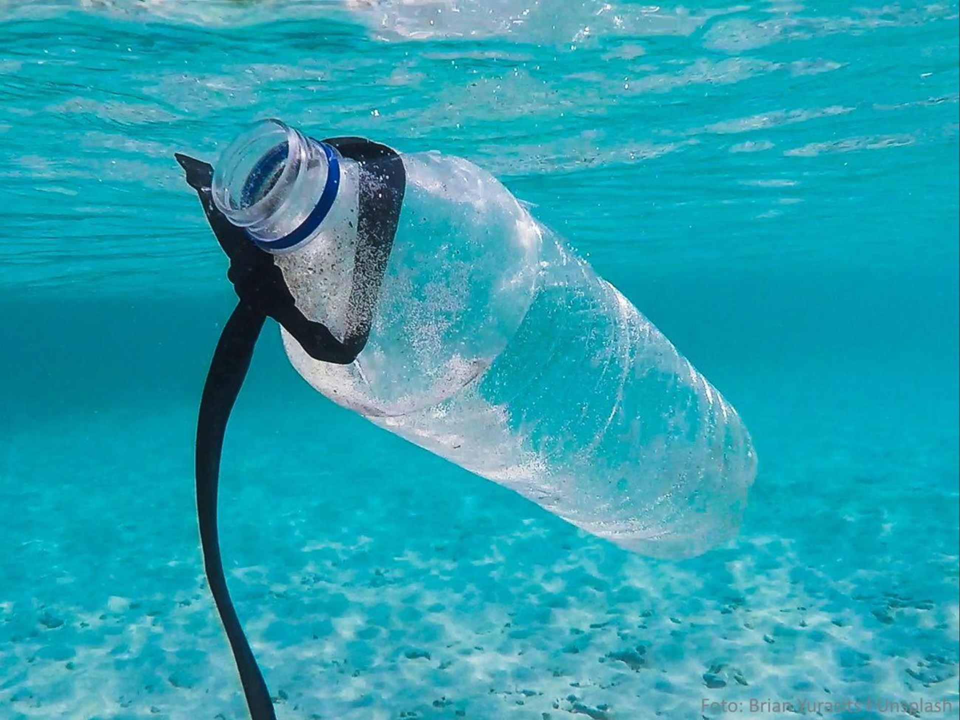 Plastikflasche schwimmt im Meer